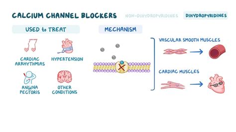 calcium chanel blocker e d|calcium channel blockers mayo clinic.